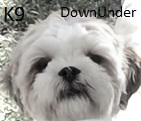 K9 DownUnder